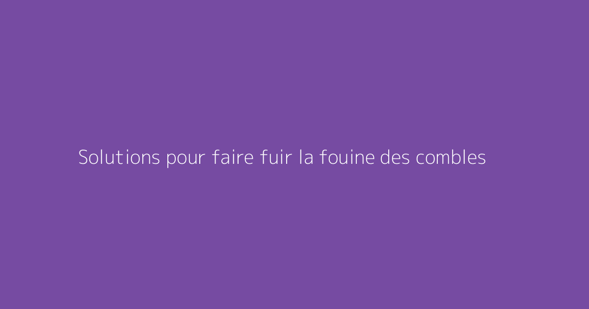 Solutions pour faire fuir la fouine des combles