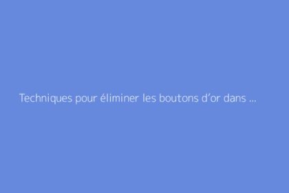 Techniques pour éliminer les boutons d’or dans une pâture efficacement