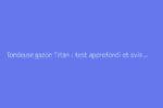 Tondeuse gazon Titan : test approfondi et avis utilisateurs