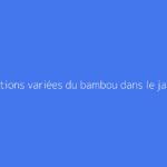 Utilisations variées du bambou dans le jardin
