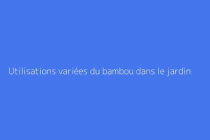 Utilisations variées du bambou dans le jardin