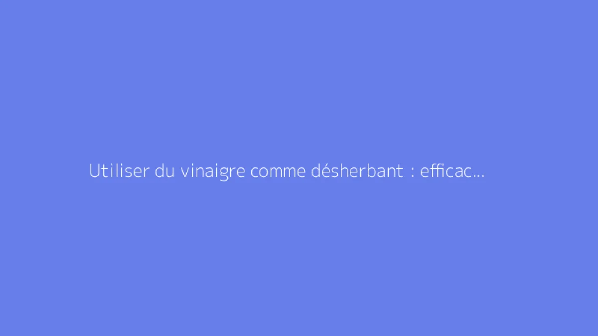 Utiliser du vinaigre comme désherbant : efficacité et mode d’emploi au jardin