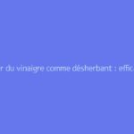 Utiliser du vinaigre comme désherbant : efficacité et mode d’emploi au jardin