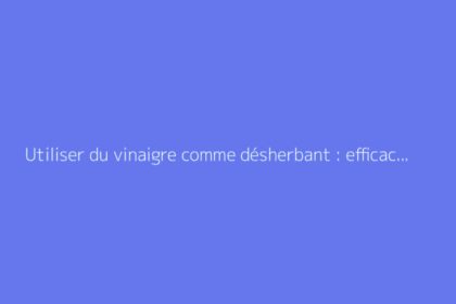Utiliser du vinaigre comme désherbant : efficacité et mode d’emploi au jardin