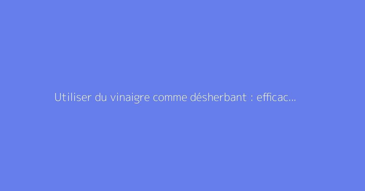 Utiliser du vinaigre comme désherbant : efficacité et mode d’emploi au jardin