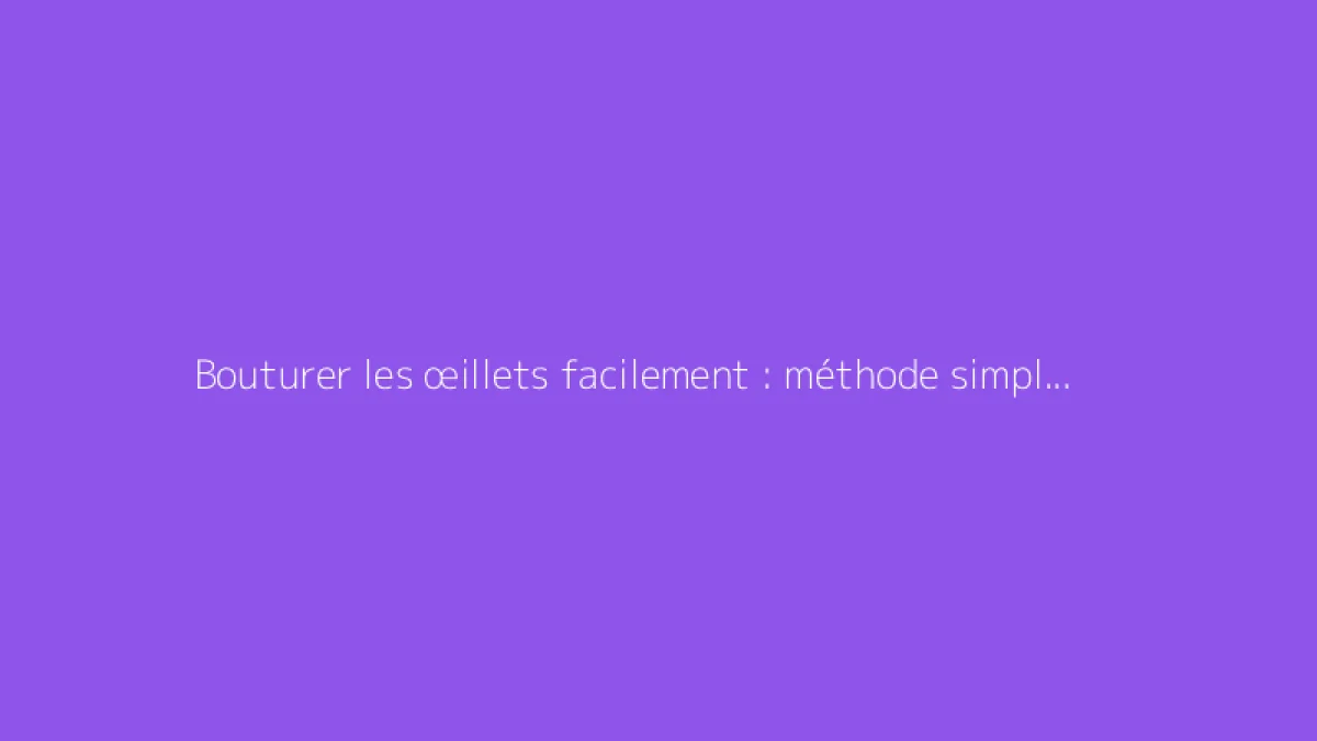 Bouturer les œillets facilement : méthode simple et efficace