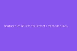 Bouturer les œillets facilement : méthode simple et efficace