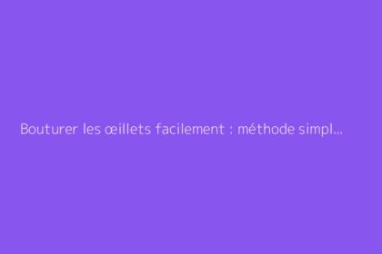 Bouturer les œillets facilement : méthode simple et efficace