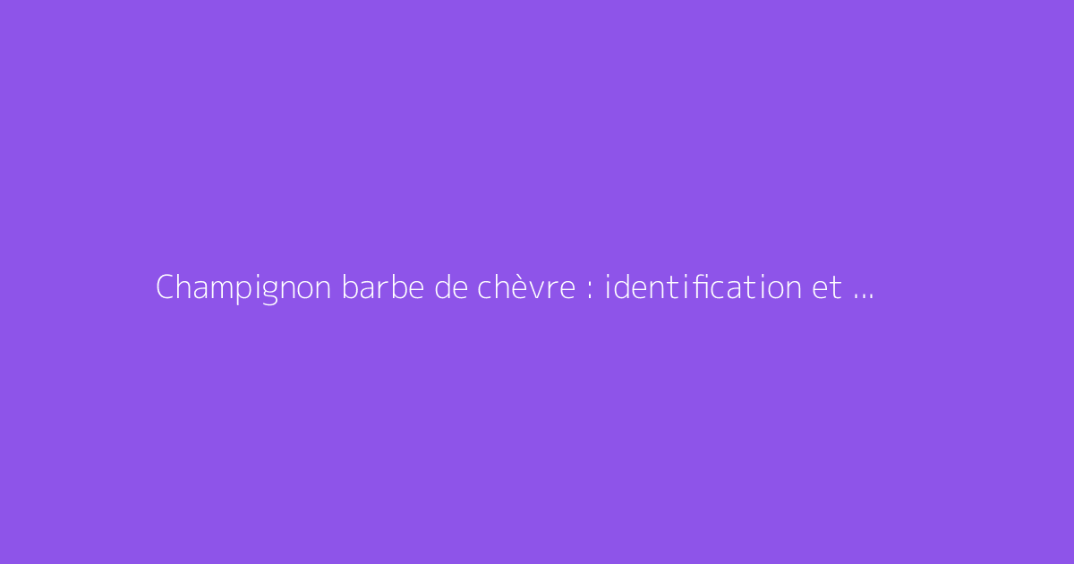 Champignon barbe de chèvre : identification et usages possibles