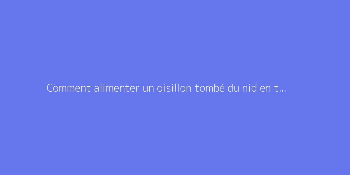 Comment alimenter un oisillon tombé du nid en toute sécurité