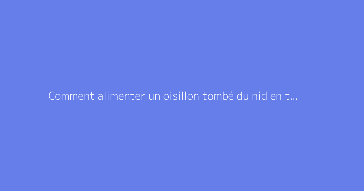 Comment alimenter un oisillon tombé du nid en toute sécurité