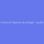 Comment associer légumes au potager : guide complet et astuces