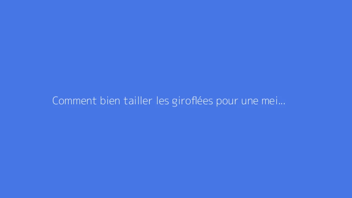 Comment bien tailler les giroflées pour une meilleure floraison