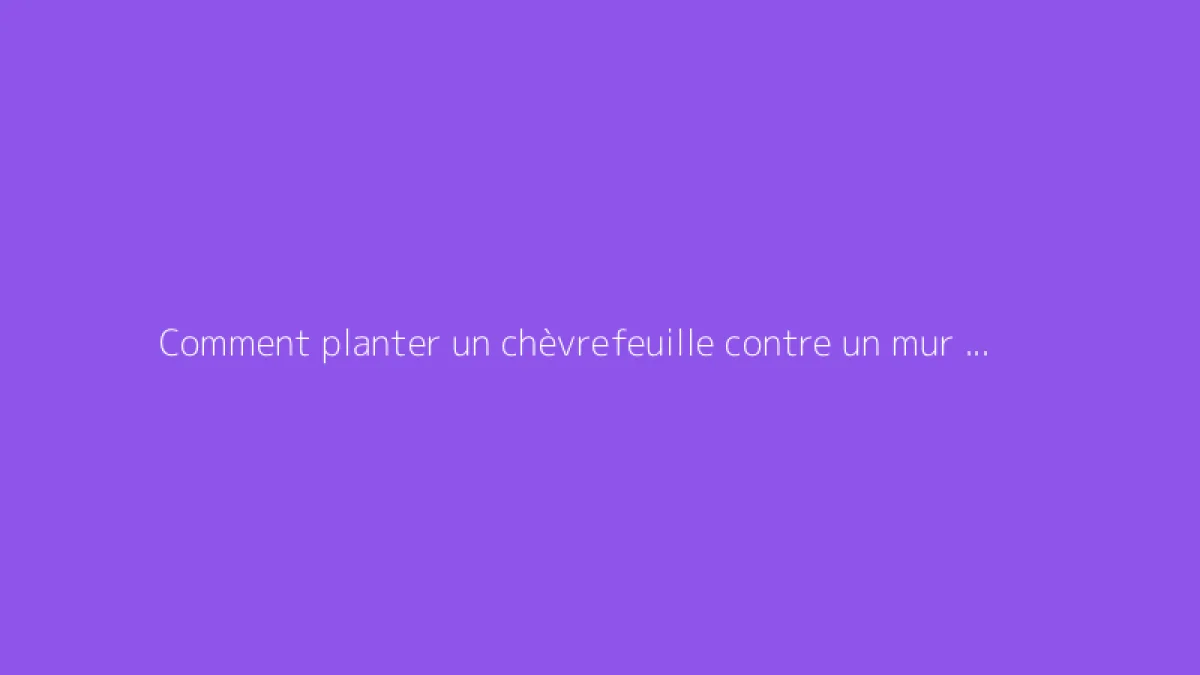 Comment planter un chèvrefeuille contre un mur : conseils utiles