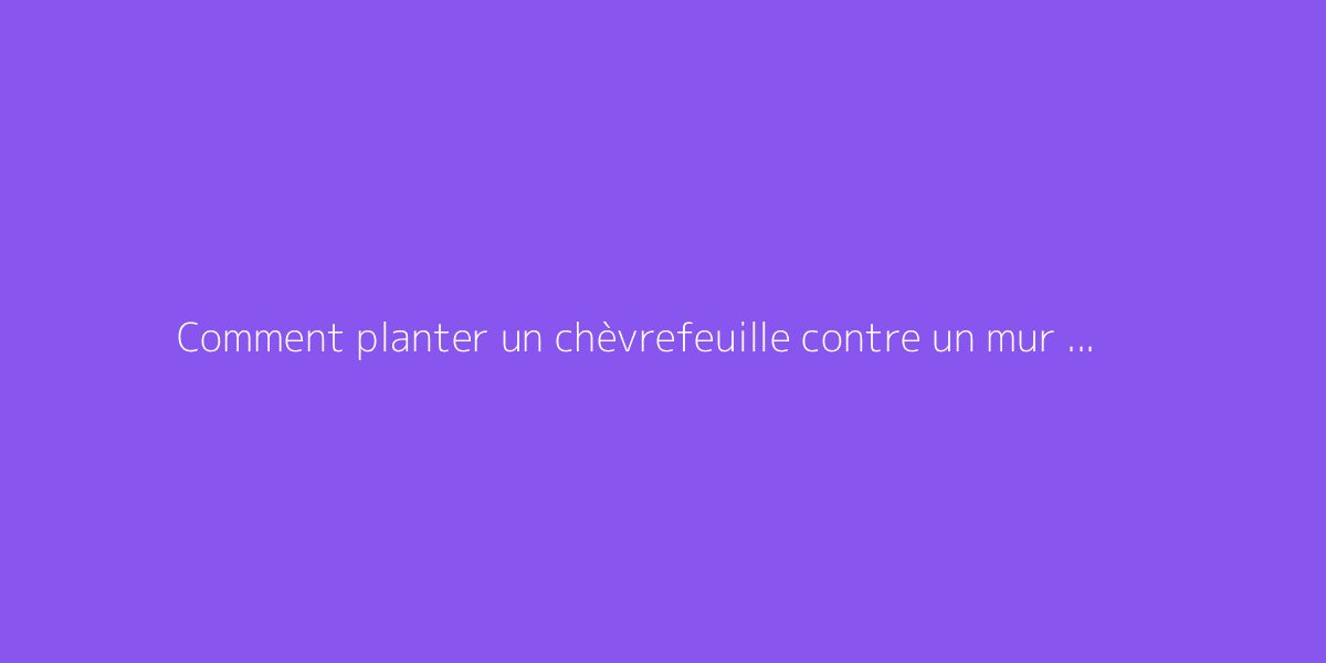 Comment planter un chèvrefeuille contre un mur : conseils utiles