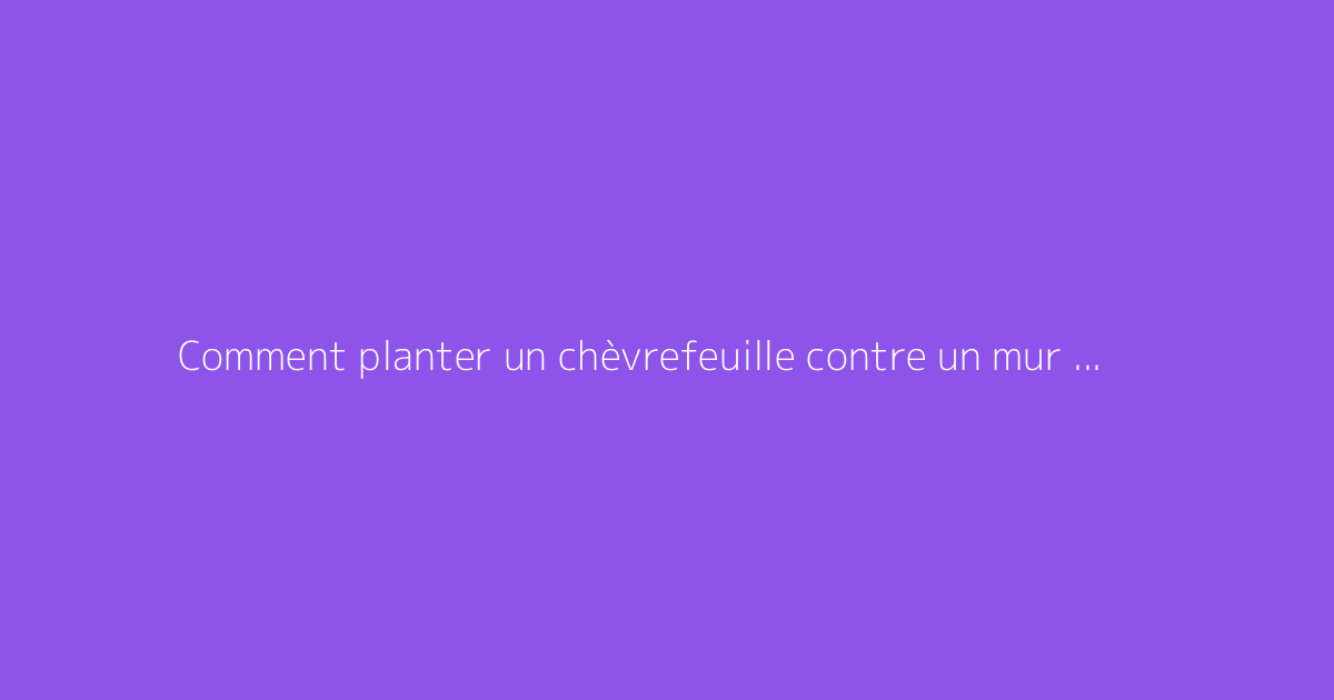 Comment planter un chèvrefeuille contre un mur : conseils utiles