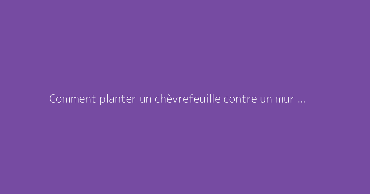 Comment planter un chèvrefeuille contre un mur : conseils utiles