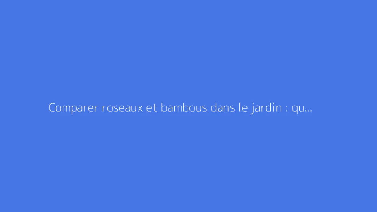 Comparer roseaux et bambous dans le jardin : quelles différences ?