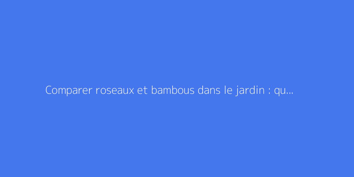 Comparer roseaux et bambous dans le jardin : quelles différences ?
