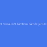 Comparer roseaux et bambous dans le jardin : quelles différences ?