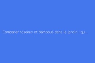 Comparer roseaux et bambous dans le jardin : quelles différences ?