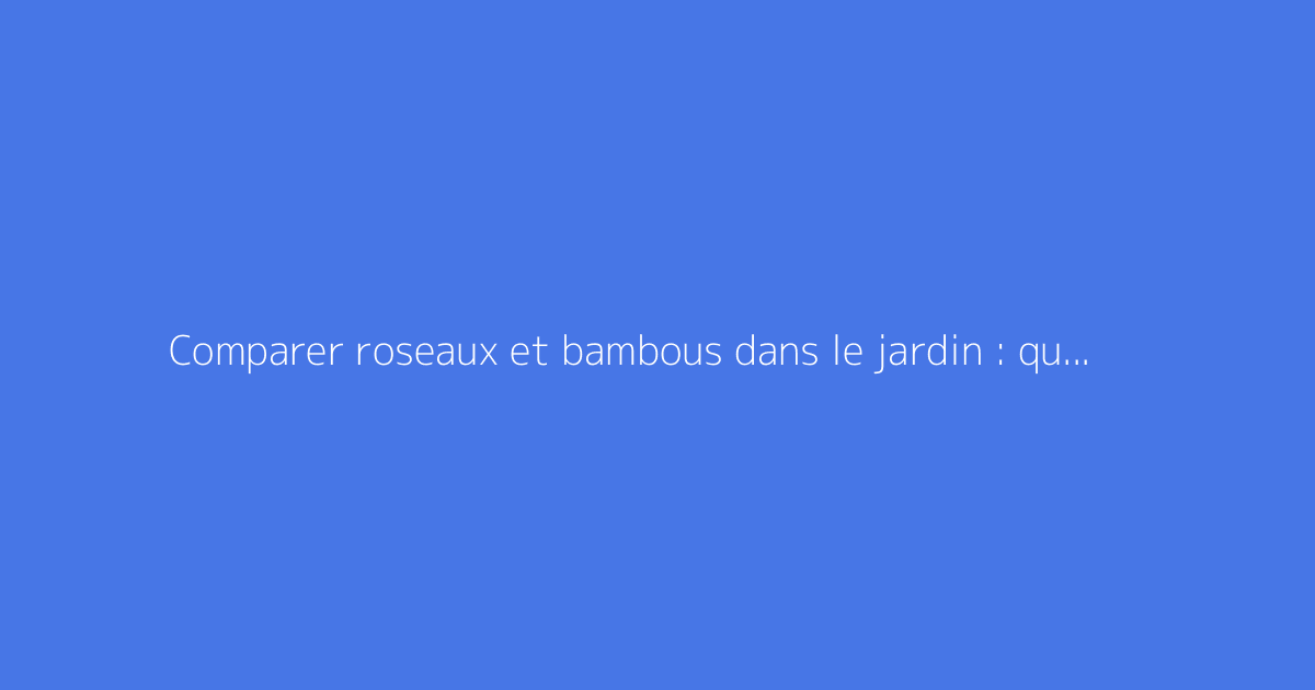 Comparer roseaux et bambous dans le jardin : quelles différences ?