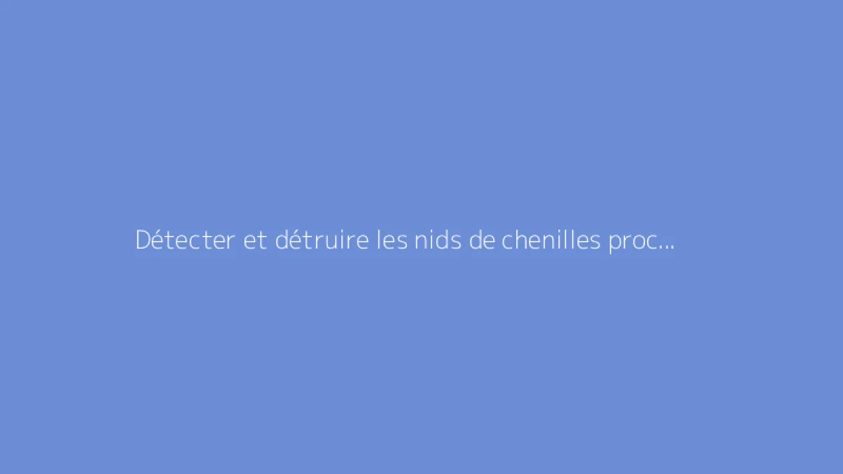 Détecter et détruire les nids de chenilles processionnaires facilement