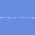 Détecter et détruire les nids de chenilles processionnaires facilement