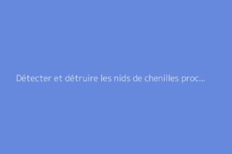 Détecter et détruire les nids de chenilles processionnaires facilement