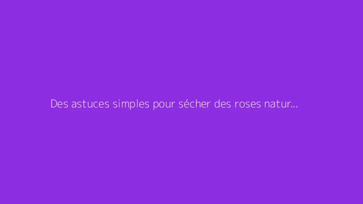 Des astuces simples pour sécher des roses naturellement
