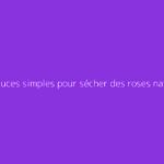 Des astuces simples pour sécher des roses naturellement