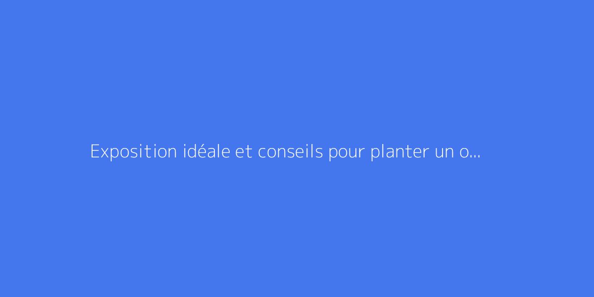 Exposition idéale et conseils pour planter un oranger du Mexique