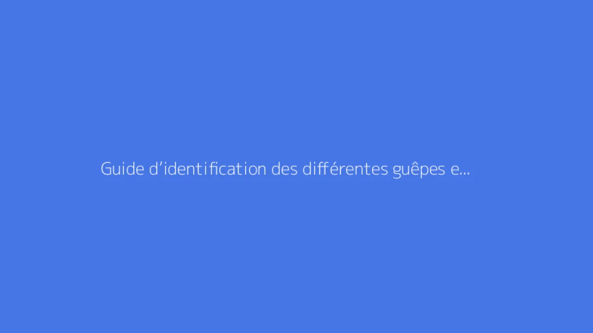 Guide d’identification des différentes guêpes en France
