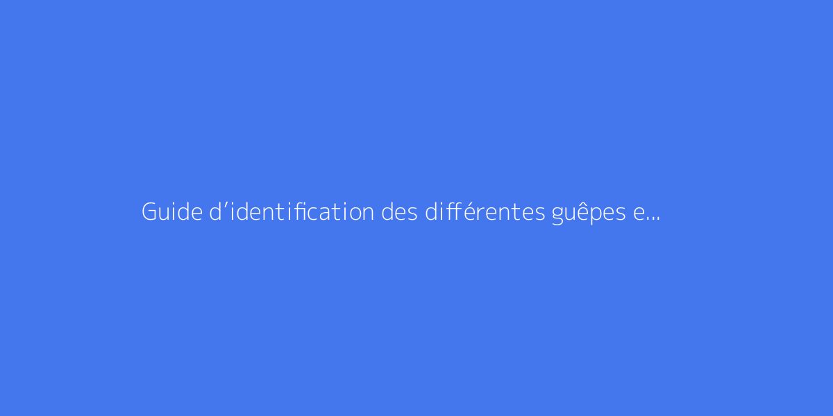 Guide dâidentification des diffĂ©rentes guĂȘpes en France
