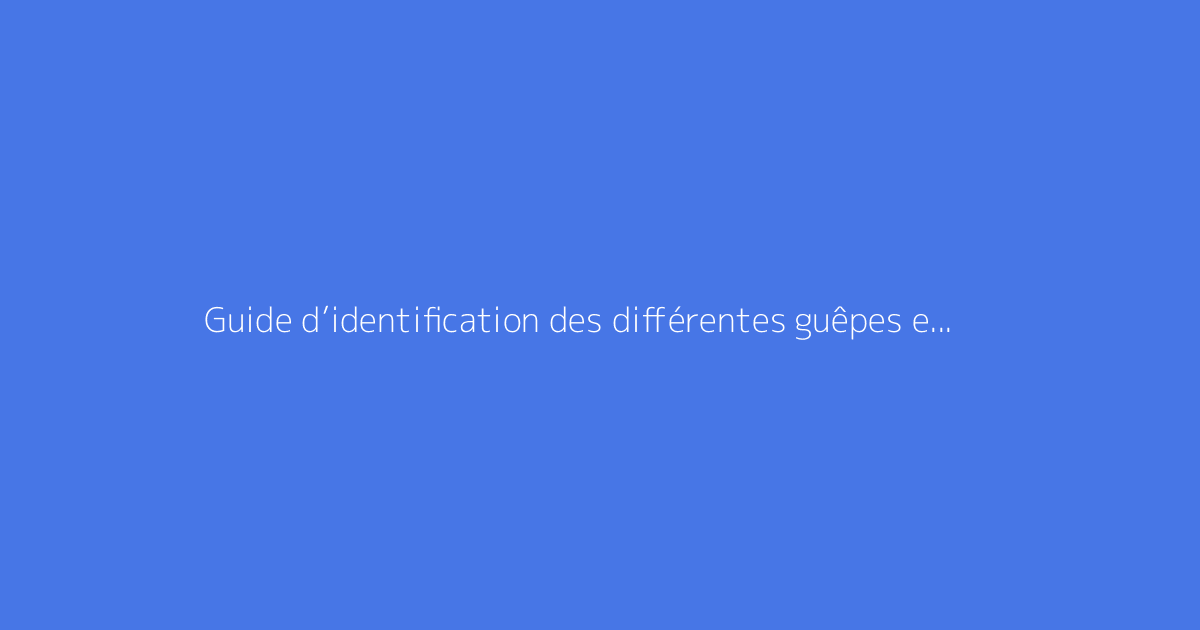 Guide d’identification des différentes guêpes en France
