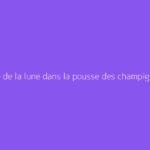 Le rôle de la lune dans la pousse des champignons : que dit-on ?