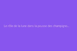 Le rôle de la lune dans la pousse des champignons : que dit-on ?