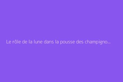 Le rôle de la lune dans la pousse des champignons : que dit-on ?