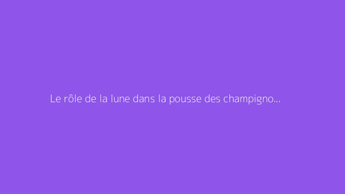 Le rôle de la lune dans la pousse des champignons : que dit-on ?