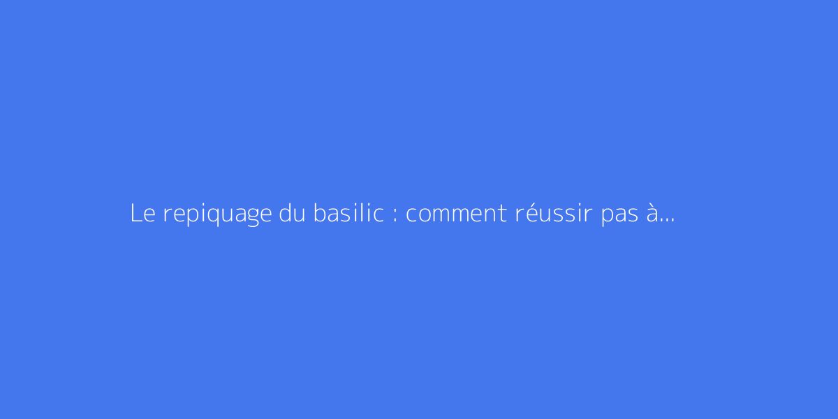 Le repiquage du basilic : comment réussir pas à pas