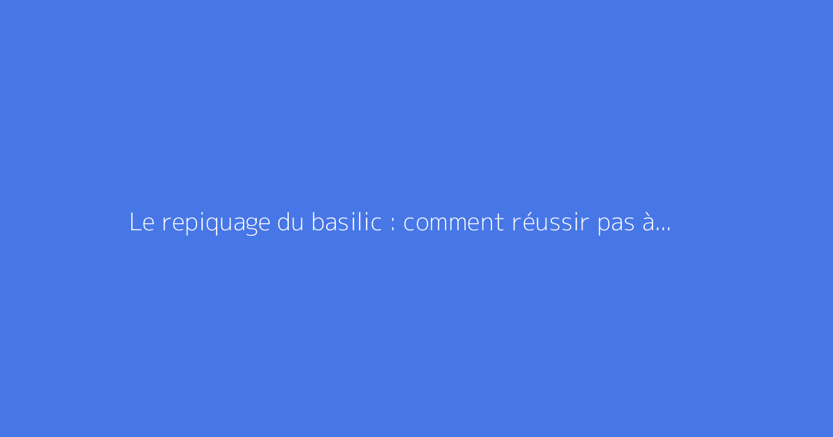 Le repiquage du basilic : comment réussir pas à pas