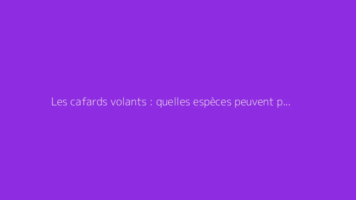 Les cafards volants : quelles espèces peuvent prendre leur envol ?