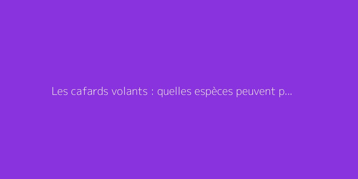 Les cafards volants : quelles espèces peuvent prendre leur envol ?