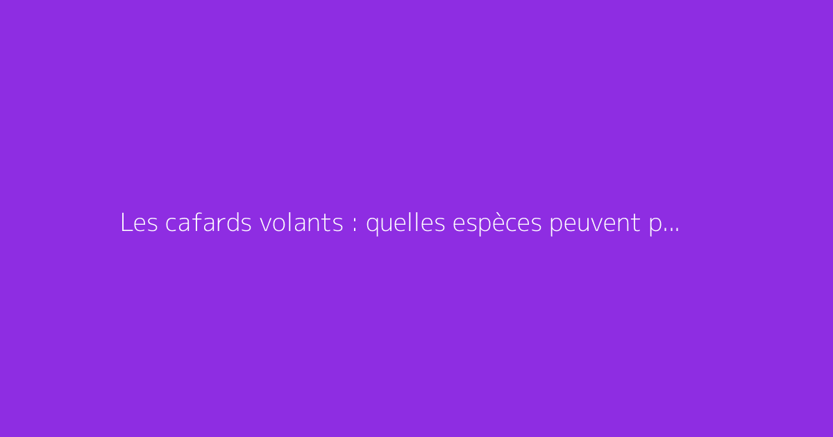 Les cafards volants : quelles espèces peuvent prendre leur envol ?