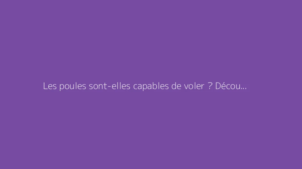Les poules sont-elles capables de voler ? Découvrez la vérité