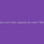Les poules sont-elles capables de voler ? Découvrez la vérité