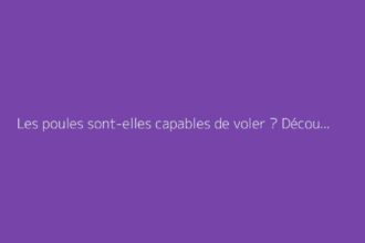 Les poules sont-elles capables de voler ? Découvrez la vérité
