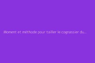 Moment et méthode pour tailler le cognassier du Japon efficacement