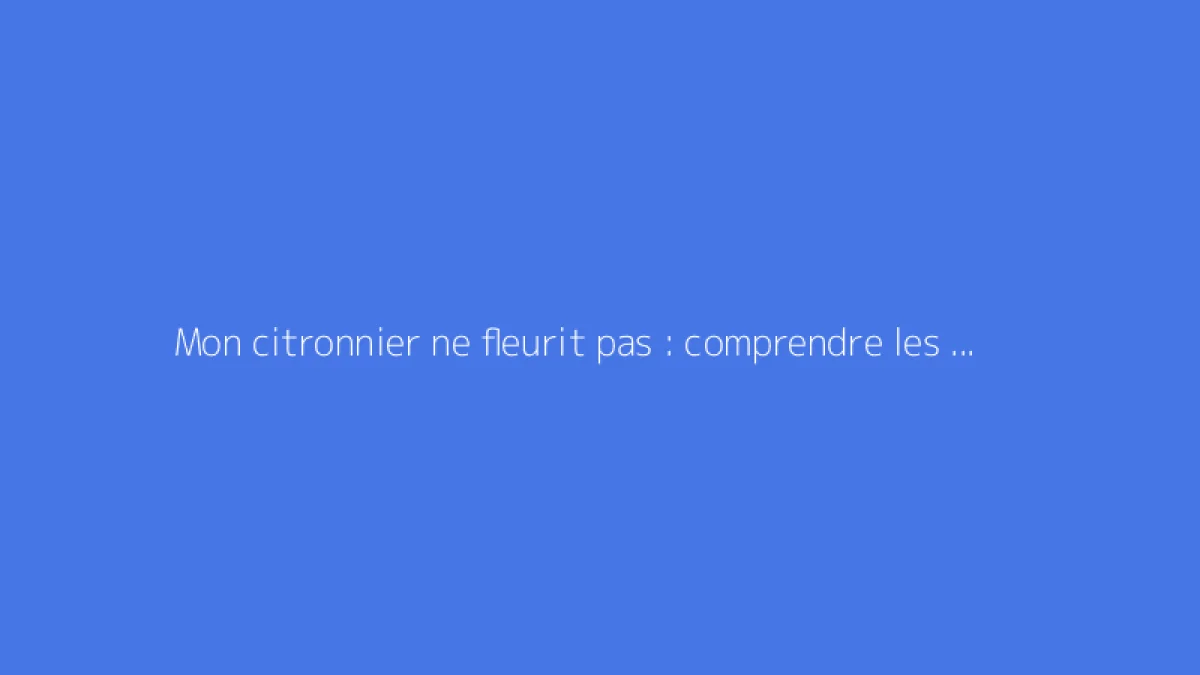 Mon citronnier ne fleurit pas : comprendre les causes et agir
