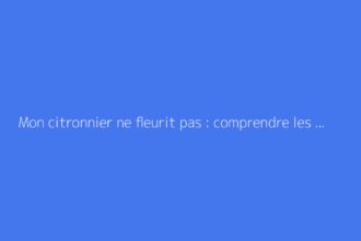 Mon citronnier ne fleurit pas : comprendre les causes et agir